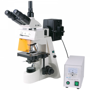 Микроскоп люминесцентный XSZ-146TP(FLUO) фото 1