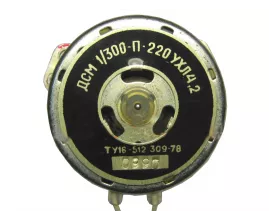 ДСМ-1/300П-220в фото