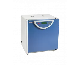 Шкаф сушильный BPG-9050A фото