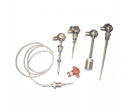 Термопреобразователи ТСП-0989Р (ТСМ-0989Р) фото