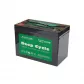 Аккумуляторная батарея EverExceed DP-12100